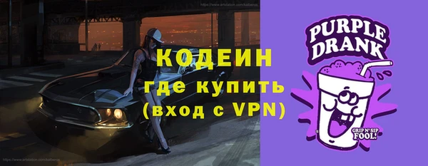 мет Весьегонск