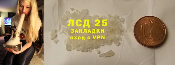 ГАЛЛЮЦИНОГЕННЫЕ ГРИБЫ Валдай
