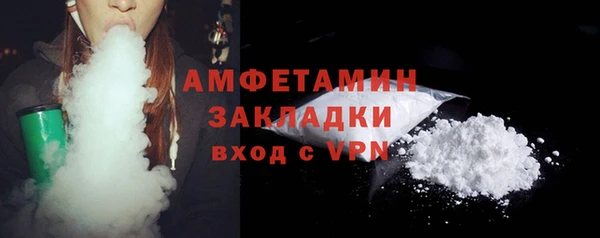 прущие грибы Новодвинск