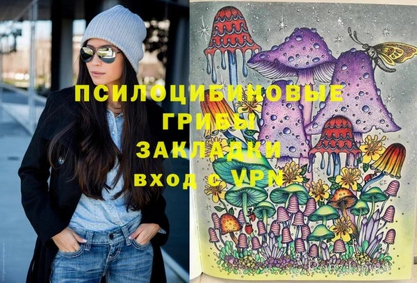 spice Видное