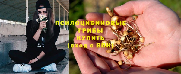 соль курить ск Новозыбков