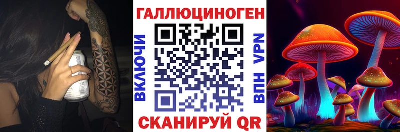 Галлюциногенные грибы мицелий  Камень-на-Оби 