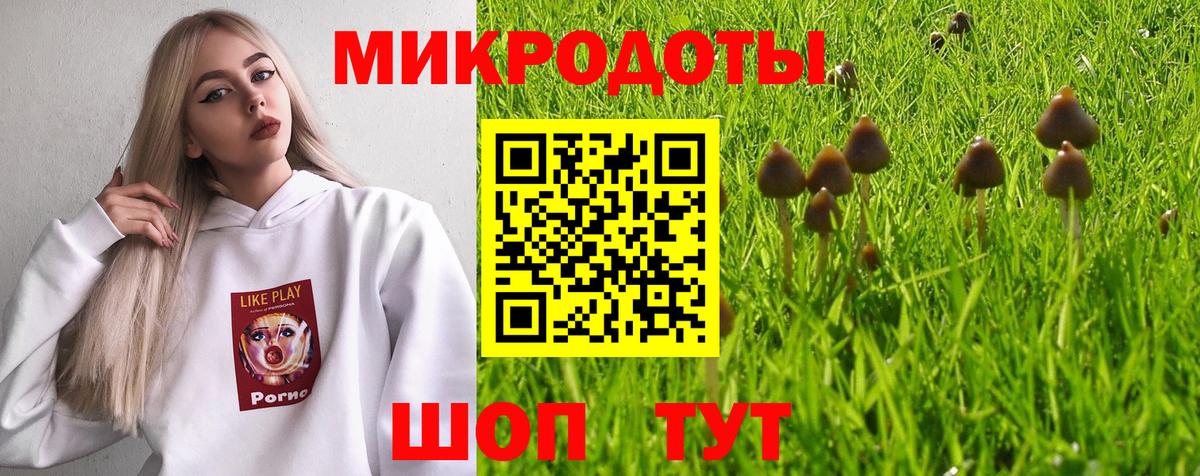 Псилоцибиновые грибы GOLDEN TEACHER  Камень-на-Оби 