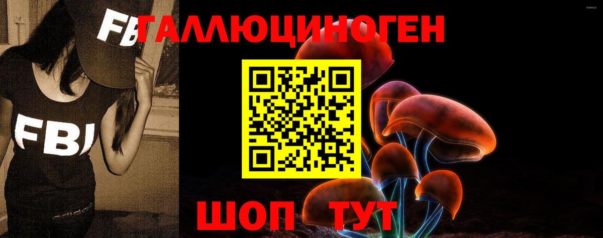 Камень-на-Оби  Галлюциногенные грибы MAGIC MUSHROOMS  продажа наркотиков  Вход с VPN  Псилоцибиновые грибы мицелий 